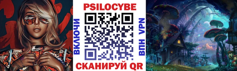 Купить где  Дюртюли  Псилоцибиновые грибы мицелий 
